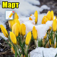 Отчет за март 2026